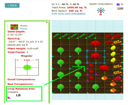 Garden plan